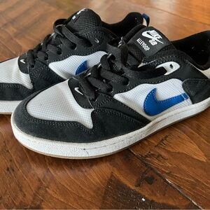Nike SB Skateboarding Shoes